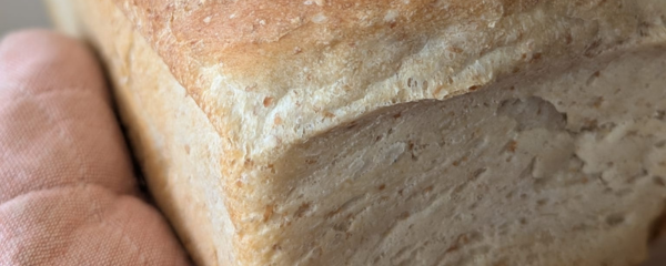 Bloggen is als brood bakken